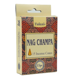[0100027307] AG DHOOP CONES NAGCHAMPA  ASST