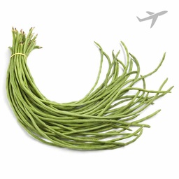 [0100027679] RUBA LONG BEANS