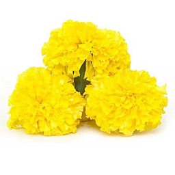 [0100023615] RUBA MARIGOLD YELLOW /Kg