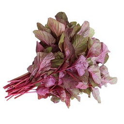 [0100028498] RED AMARANTH LEAVES 1PC