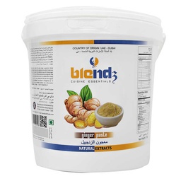 [0100024120] BLENDZ GINGER PASTE 300GM