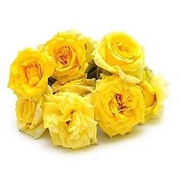 [0100023613] RUBA YELLOW ROSE /Kg