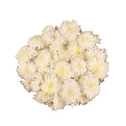 [0100023616] RUBA WHITE SEVANTHI /Kg