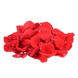 [0100023664] RUBA PANEER ROSE /KG