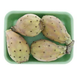 [0100028723] PRICKLY PEAR PKT