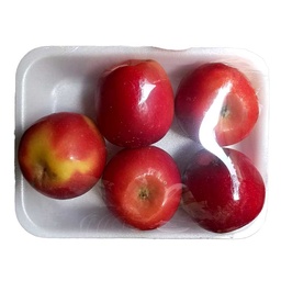 [0100028751] APPLE MINI NEWZEALAND PKT