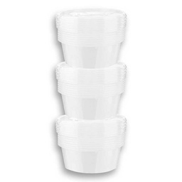 [0100029092] SUNNY MICROWAVE CONTAINERS R/D 250ML 3X5S