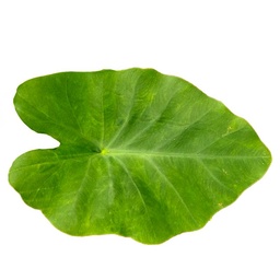 [0100029284] ARVI LEAVES 1PC