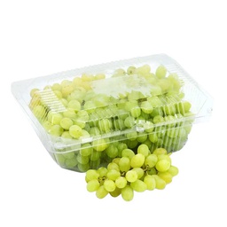 [0100021981] GRAPE GREEN PP