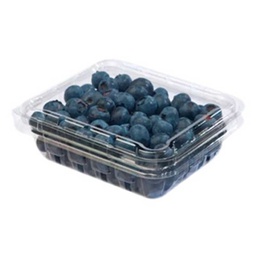 [0100021983] BLUEBERRY /PKT