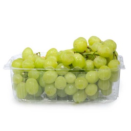 [0100022996] GRAPE IRAN PP