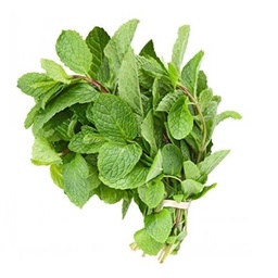 [0100021970] FRESH LEAVES