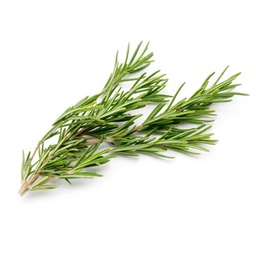 [0100022555] ROSEMARY LEAVES PKT