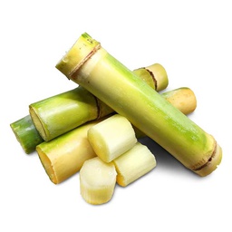 [0100023721] SUGAR CANE KG